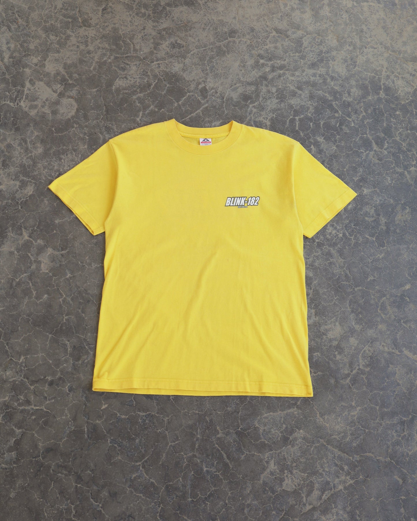 00s Blink 182 Tee - L