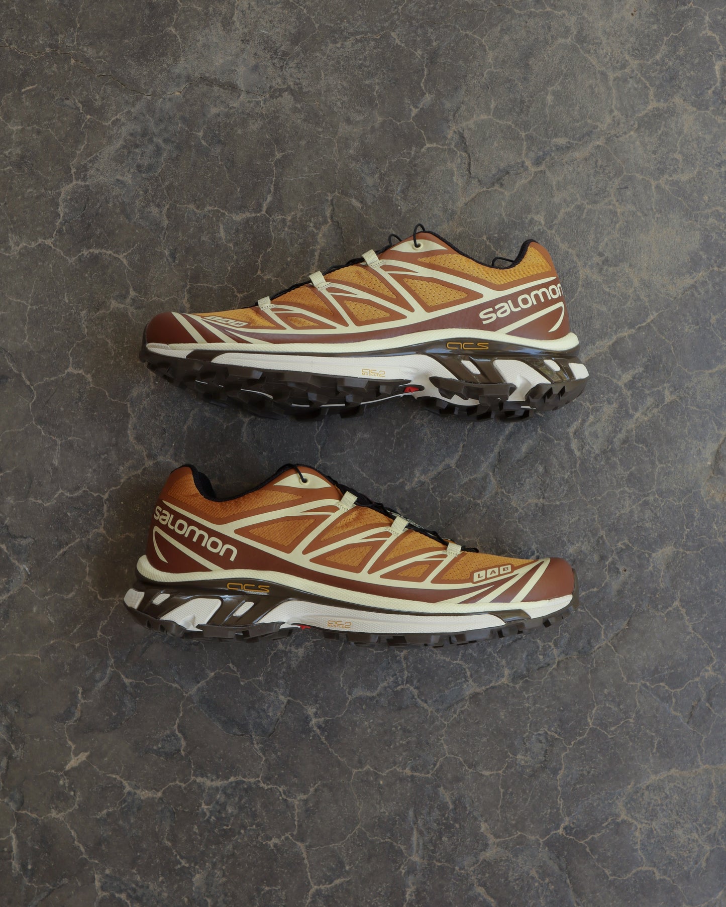Modern Salomon x END XT-6 Porcini - Men’s US 10