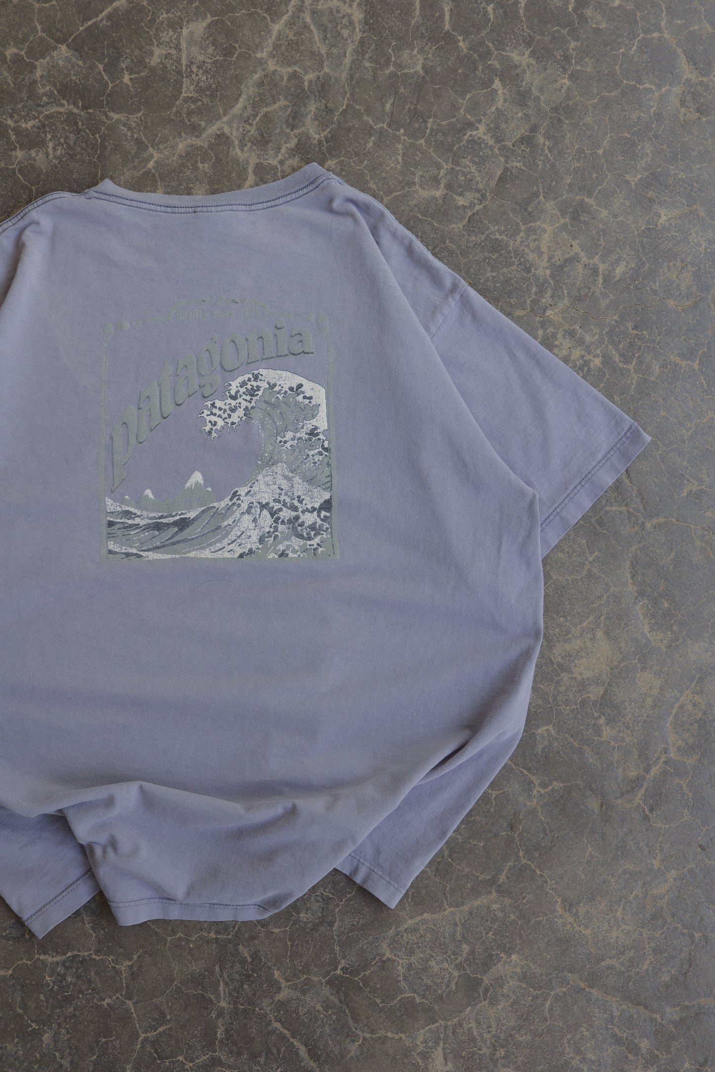 90s Patagonia Beneficial Wave Tee - L